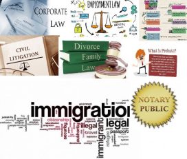 AYESHA NAAZ, BARRISTER AND SOLICITOR, NOTARY AND COMMISSIONER ON OATHS