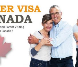 SUPER VISA  INSURANCE / VISITORS TO CANADA MEDICAL  INSURANCE