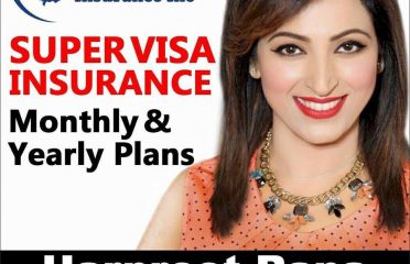 SUPERVISA INSURANCE MONTHLY AND YEARLY PLANS WITH 45% DISCOUNT